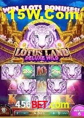 Experiência VIP 456bet.com